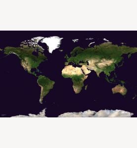 Satellite Map of the World