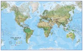 Large Environmental World Wall Map (Laminated)